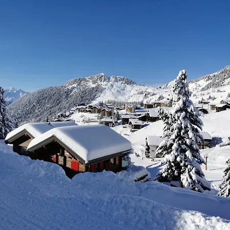 Enzian Apartment Riederalp