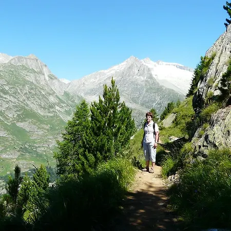 Apartment Enzian Riederalp